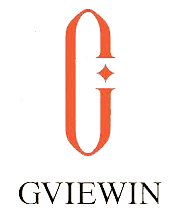 Gviewin website